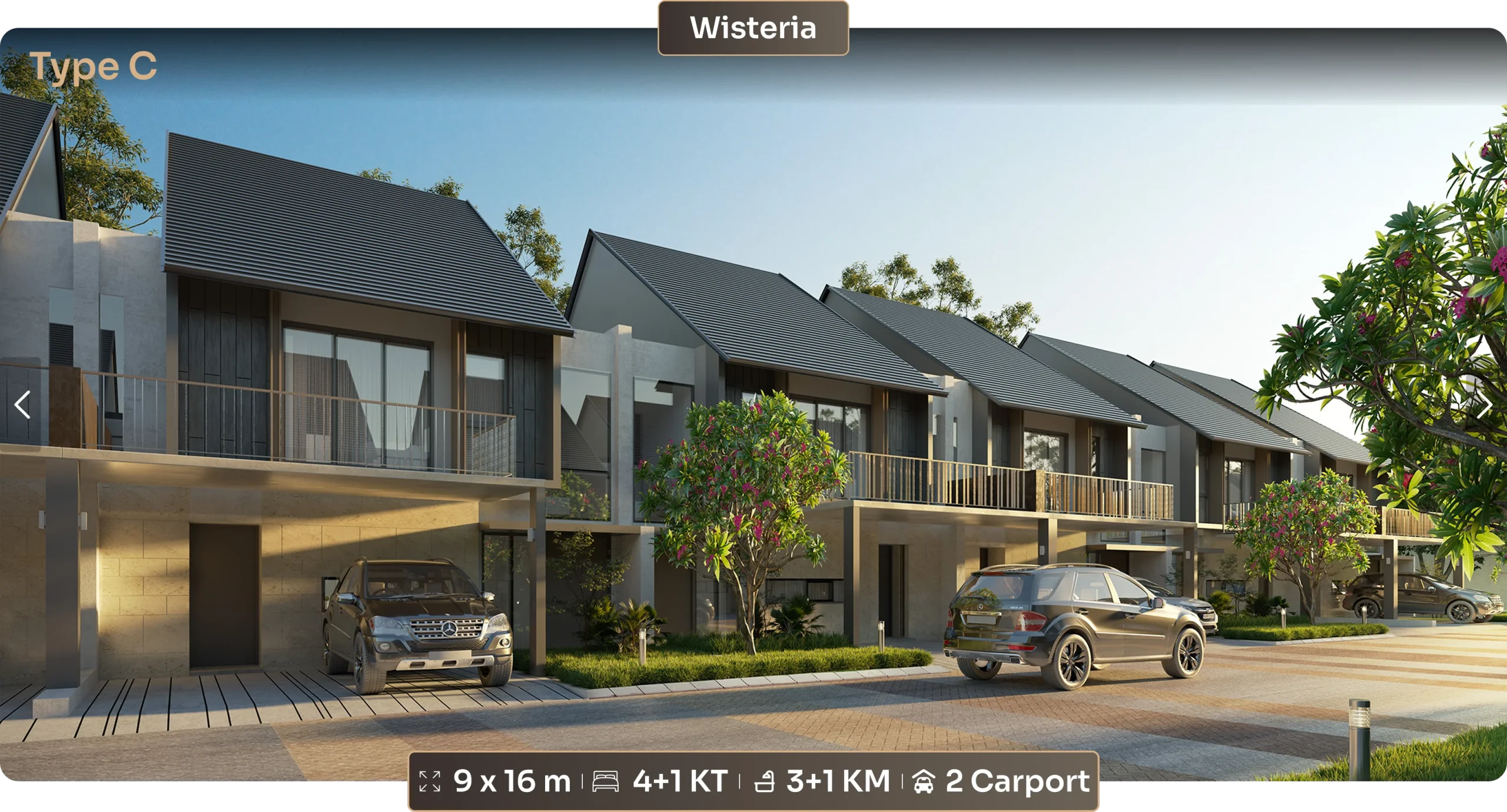WisteriaTypeC